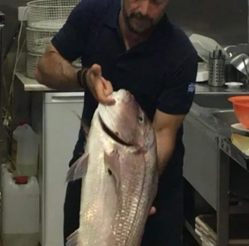 Poseidon 3* Agia Efimia